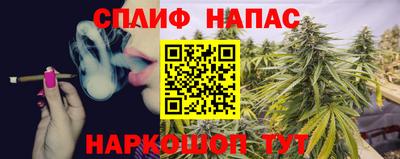 герыч Моздок