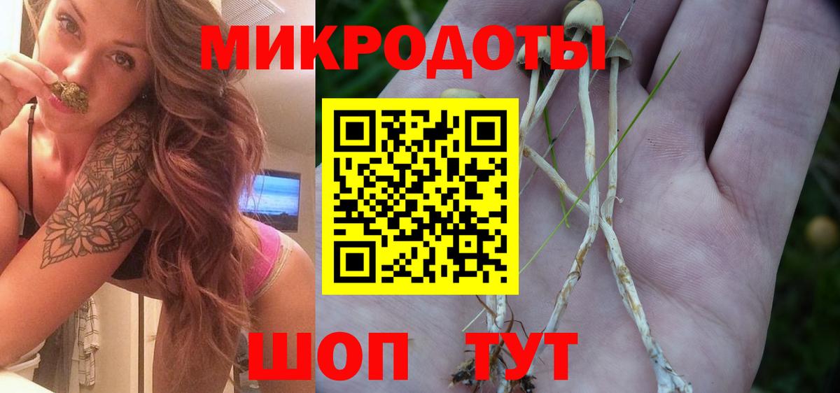 Галлюциногенные грибы MAGIC MUSHROOMS  купить наркотики цена  Чусовой  Вход с VPN 